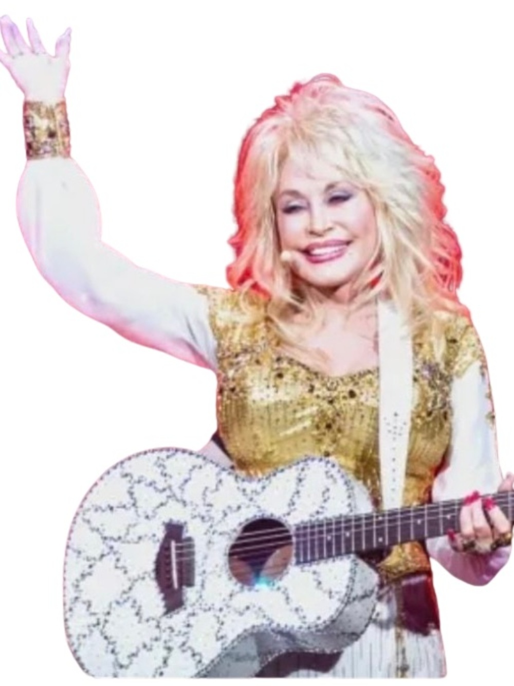 NEW ANY SIZE Dolly Parton t-shirts